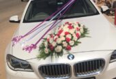 Wedding Car Hire In Bangalore || 8660740368